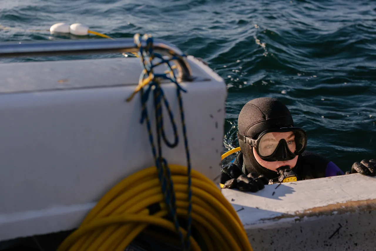 Urchin Diver