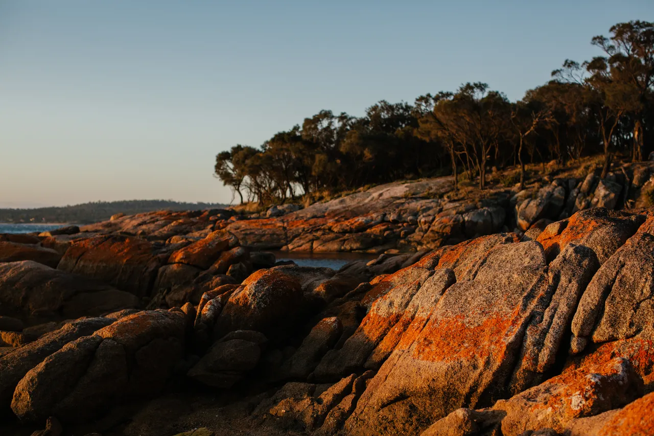 Coles Bay Coast
