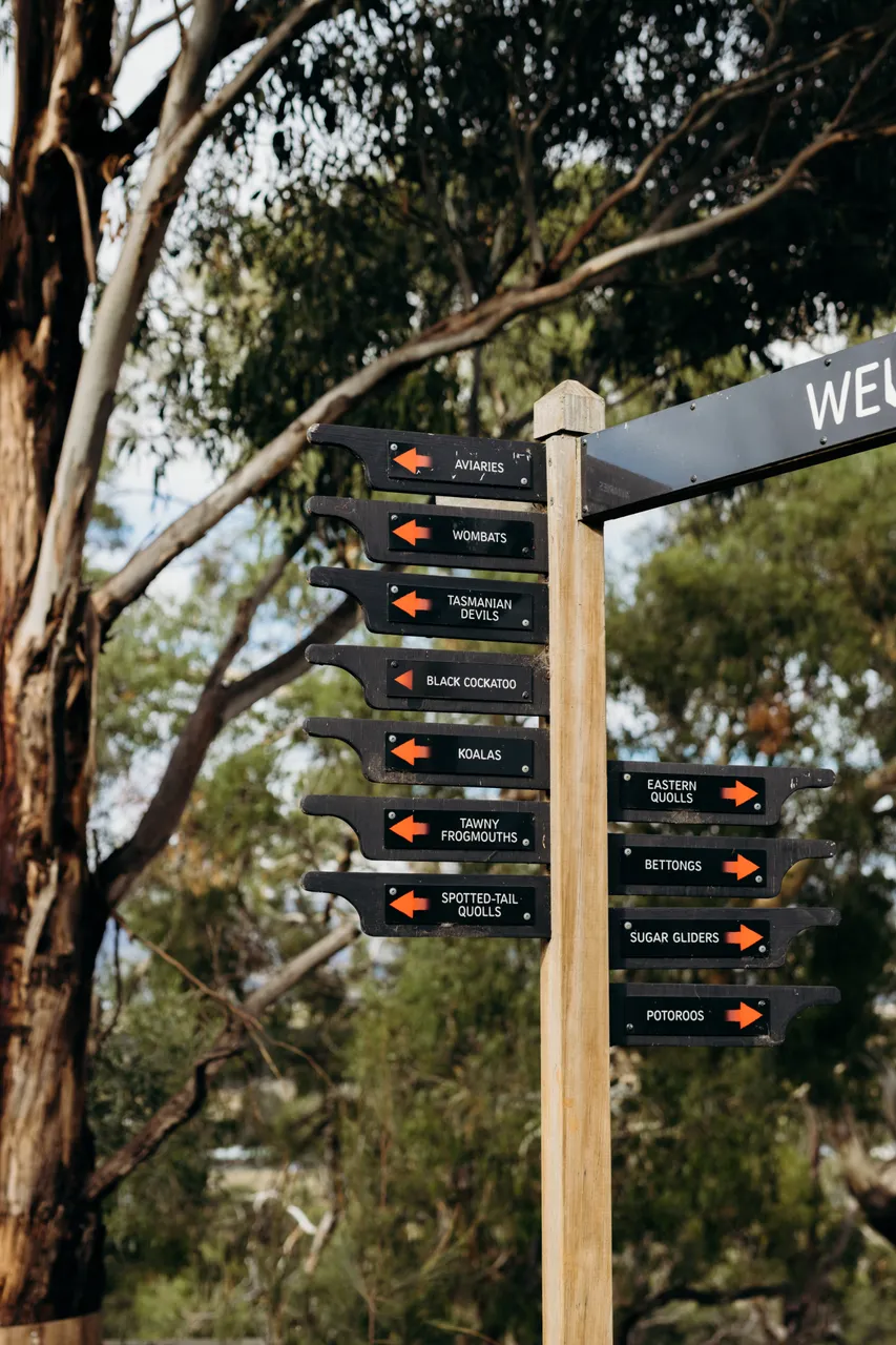 Bonorong Wildlife Sanctuary