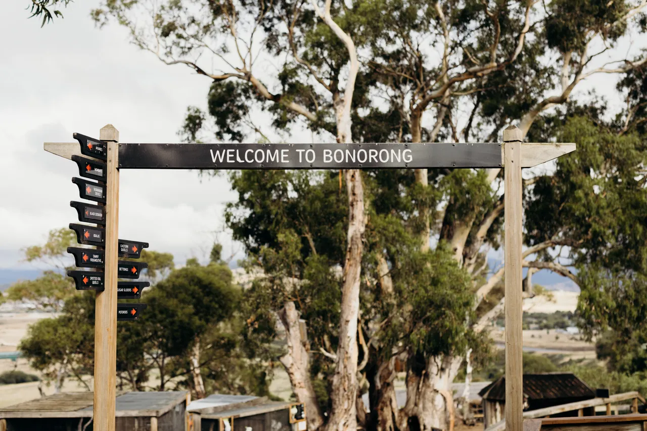 Bonorong Wildlife Sanctuary