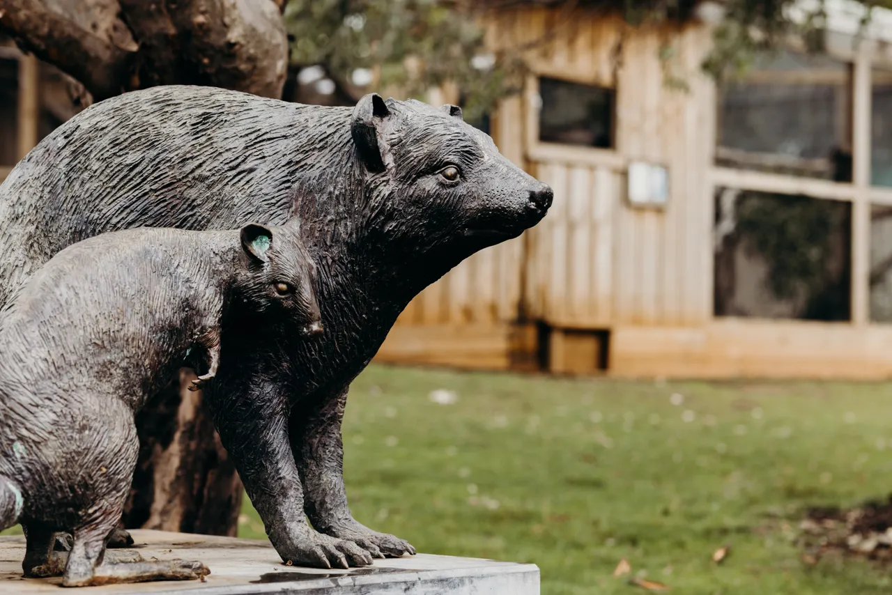 Bonorong Wildlife Sanctuary