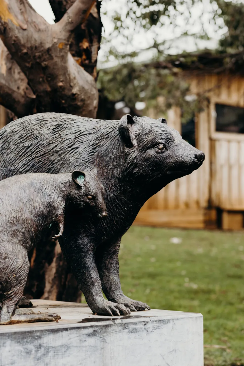 Bonorong Wildlife Sanctuary