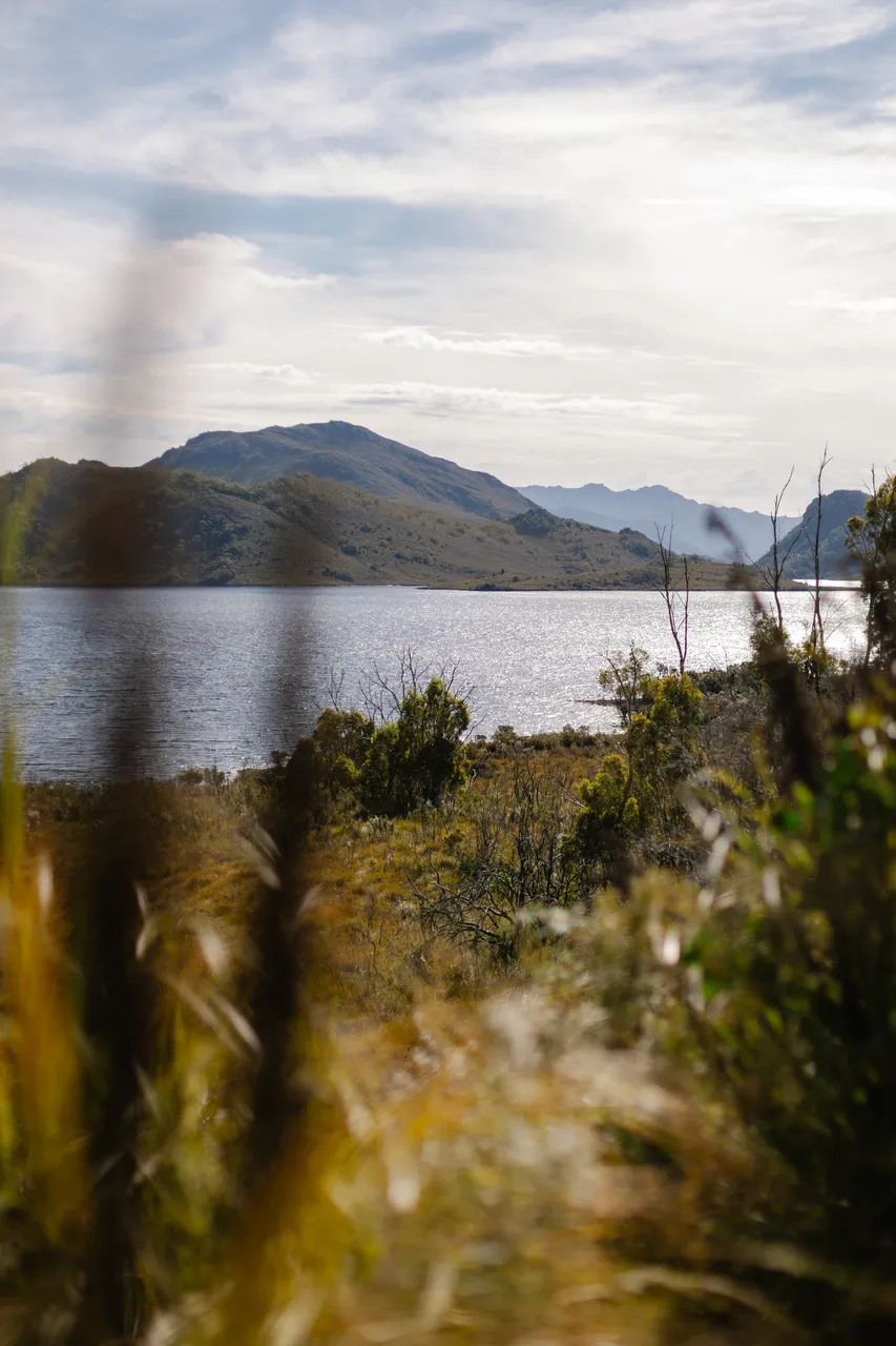 Lake Pedder