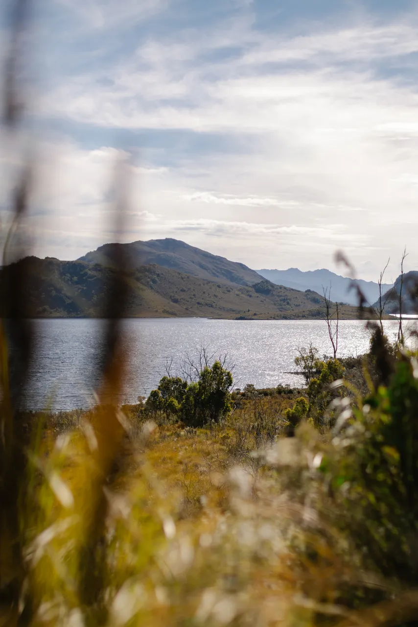 Lake Pedder