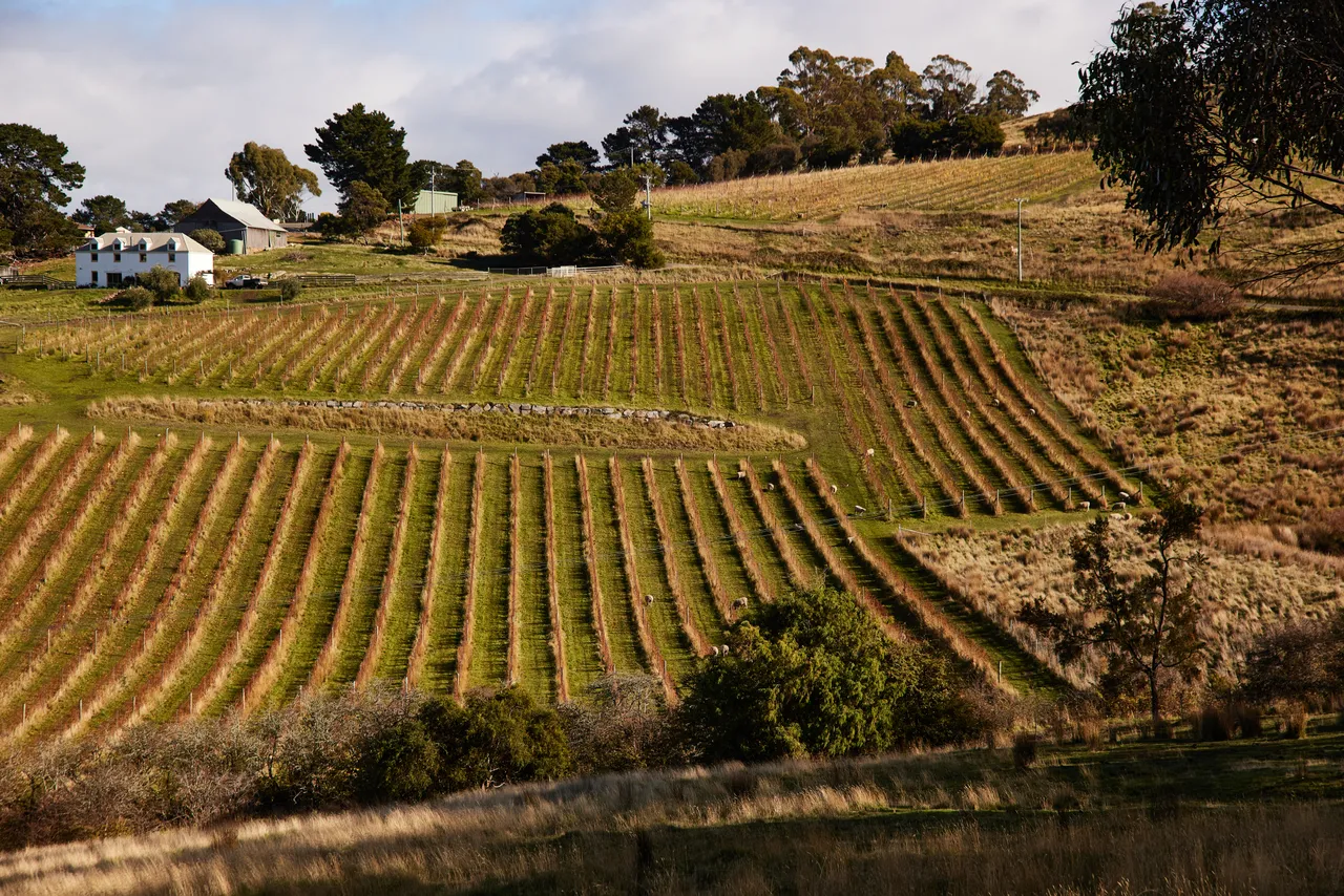 Tinderbox Landscape