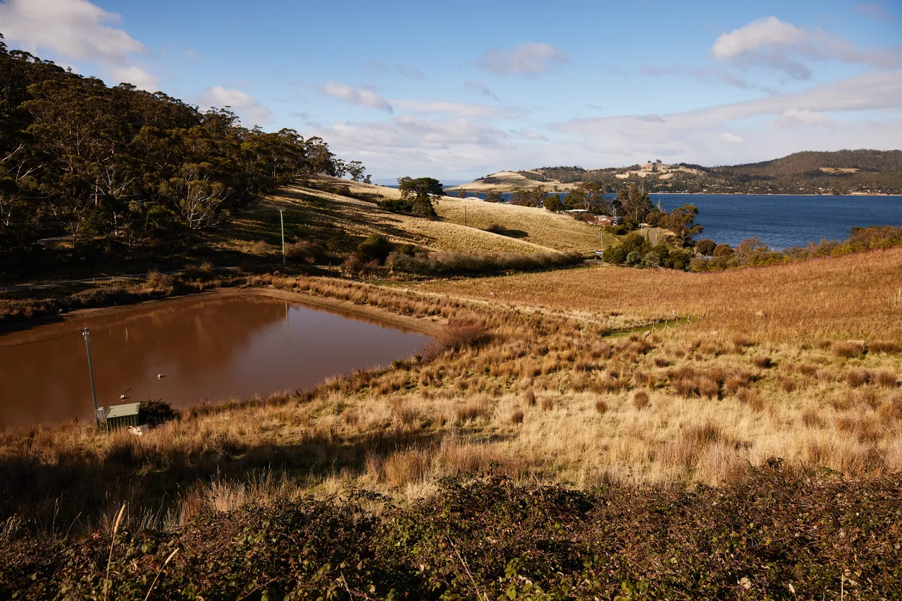 Tinderbox Landscape