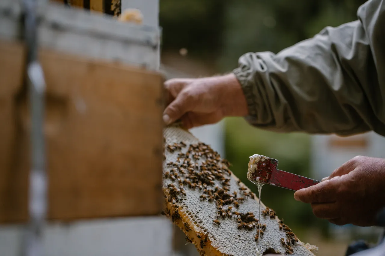 Beekeeping