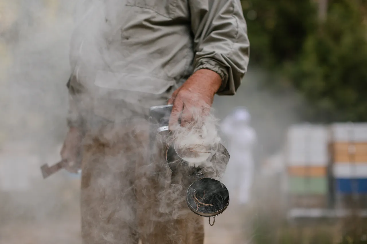 Beekeeping