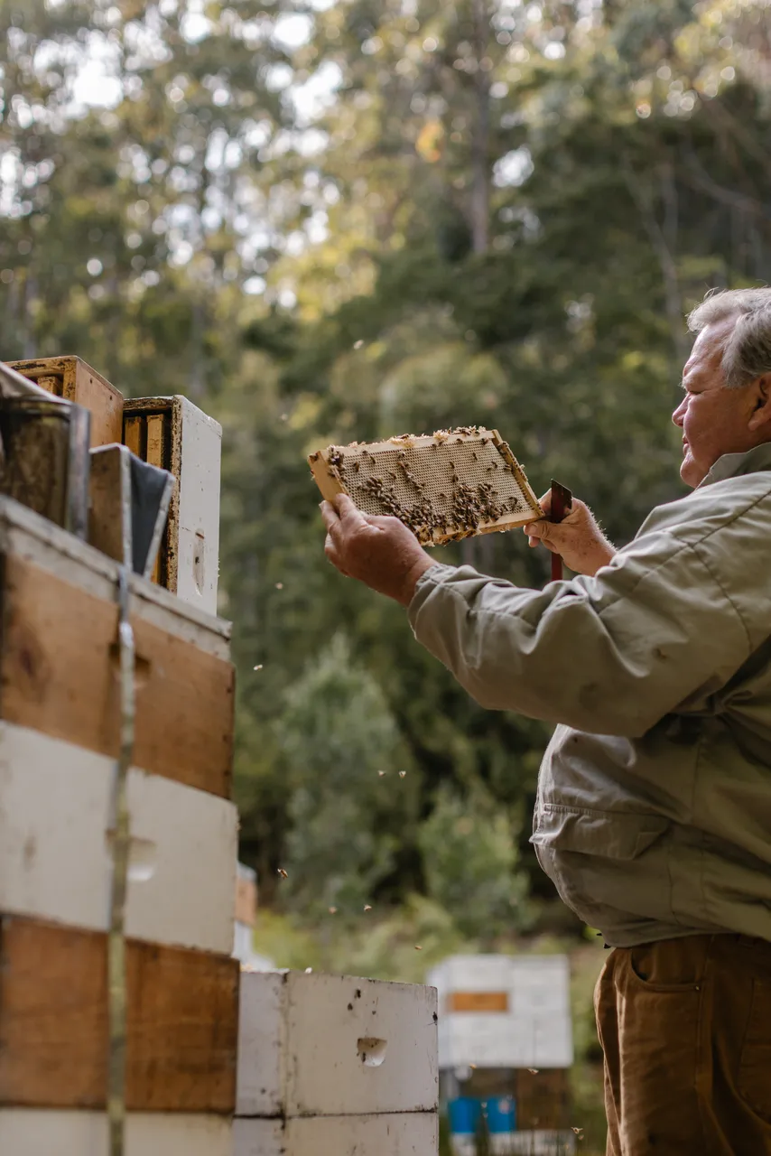 Beekeeping