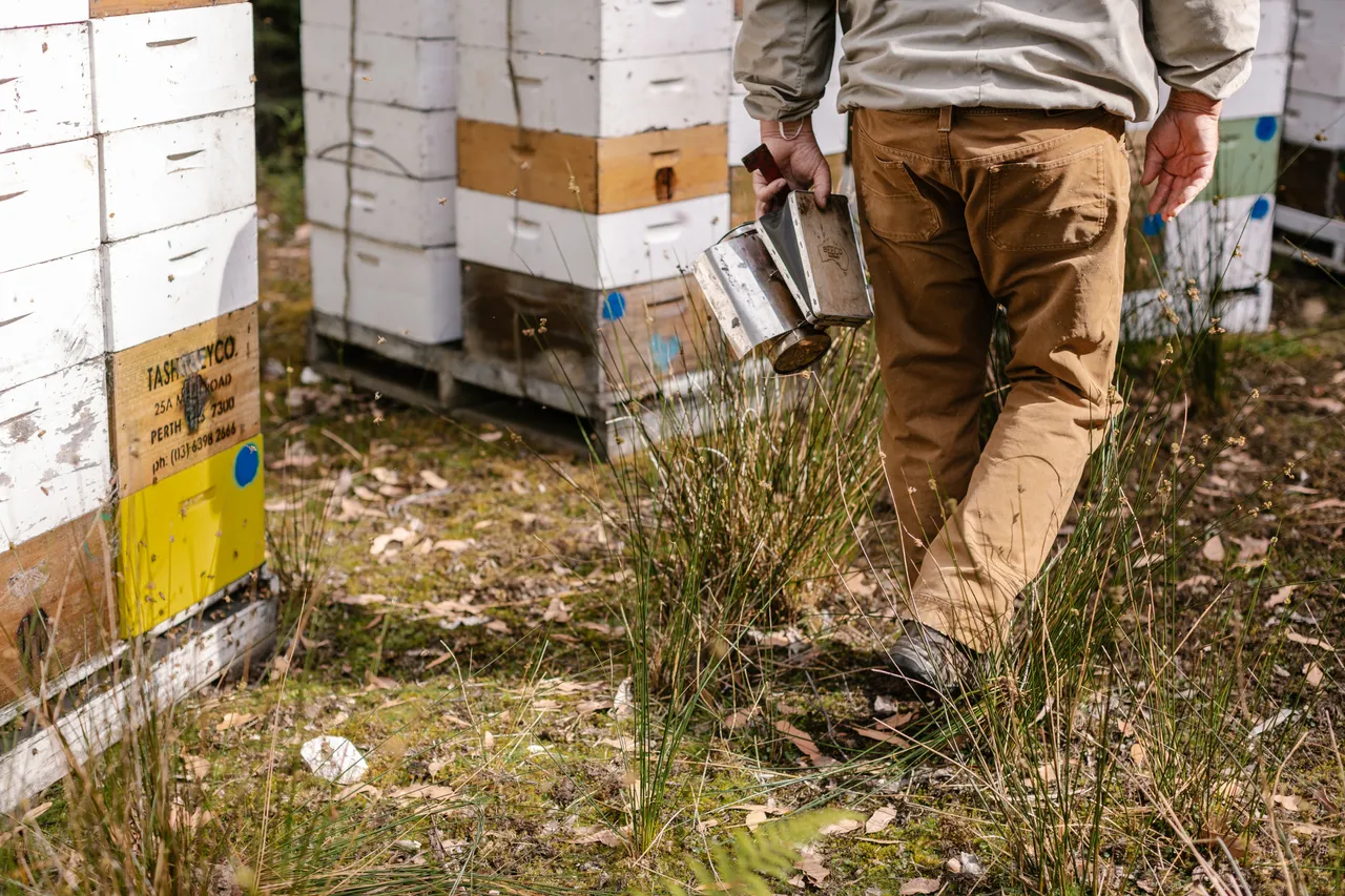 Beekeeping