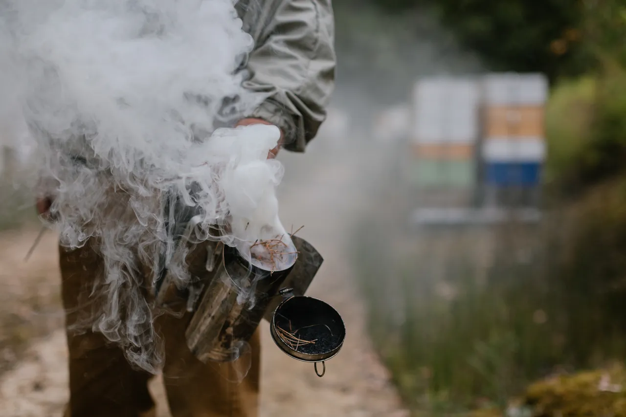 Beekeeping