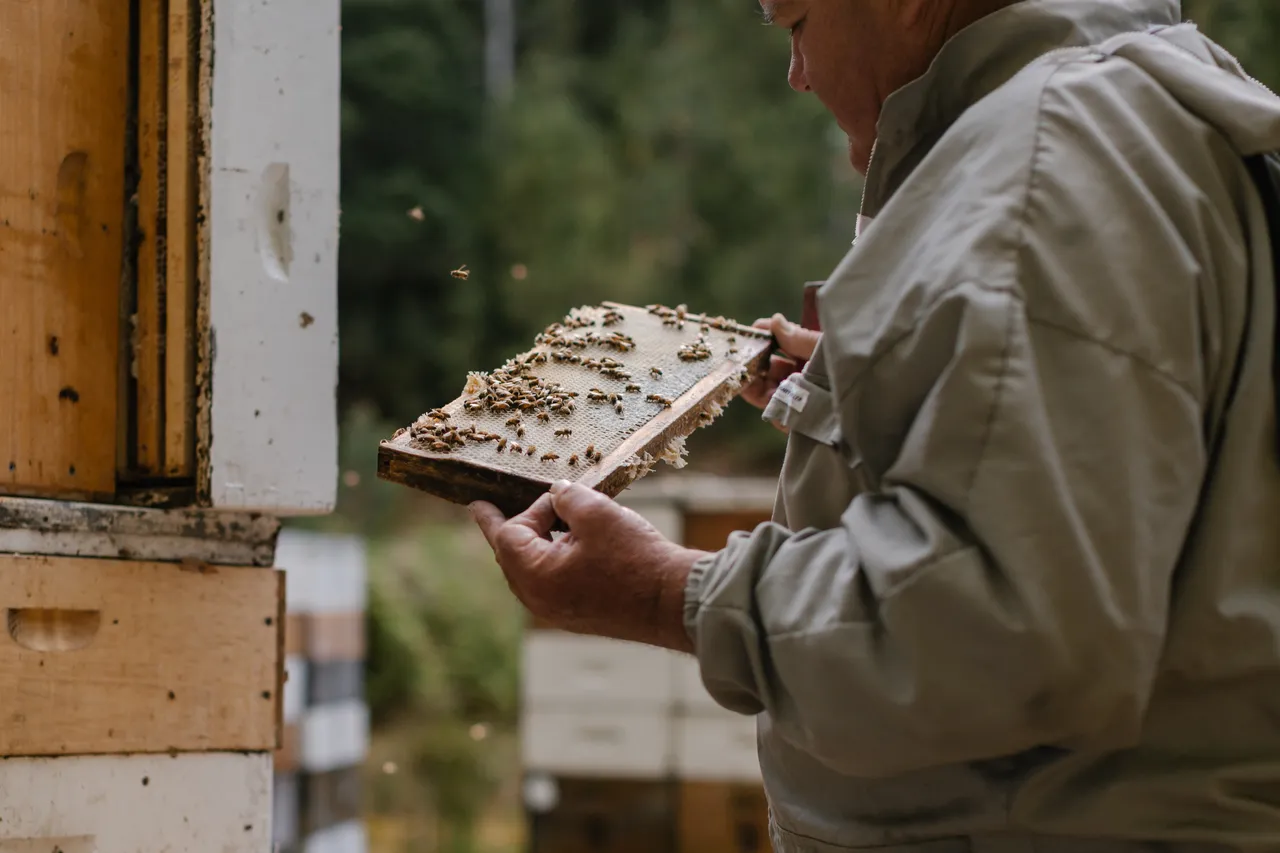 Beekeeping