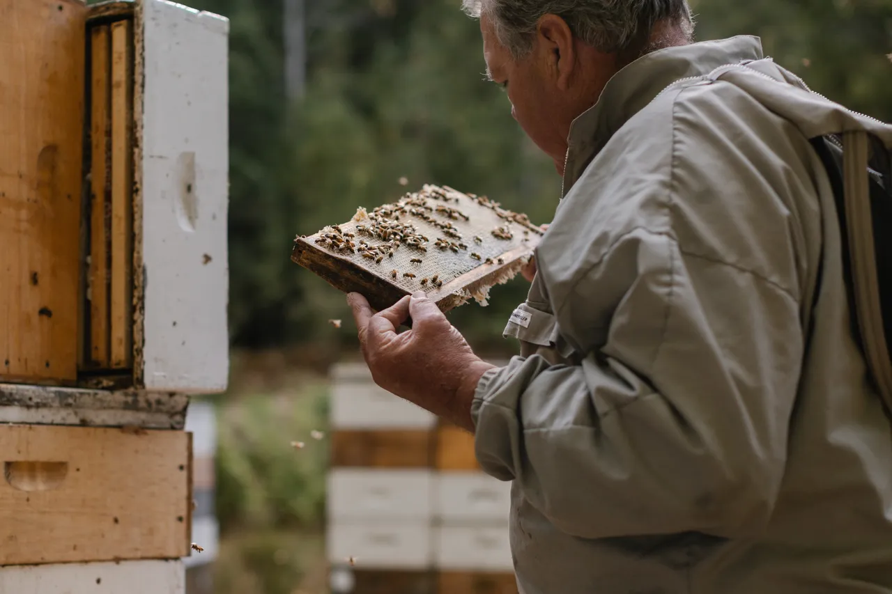 Beekeeping