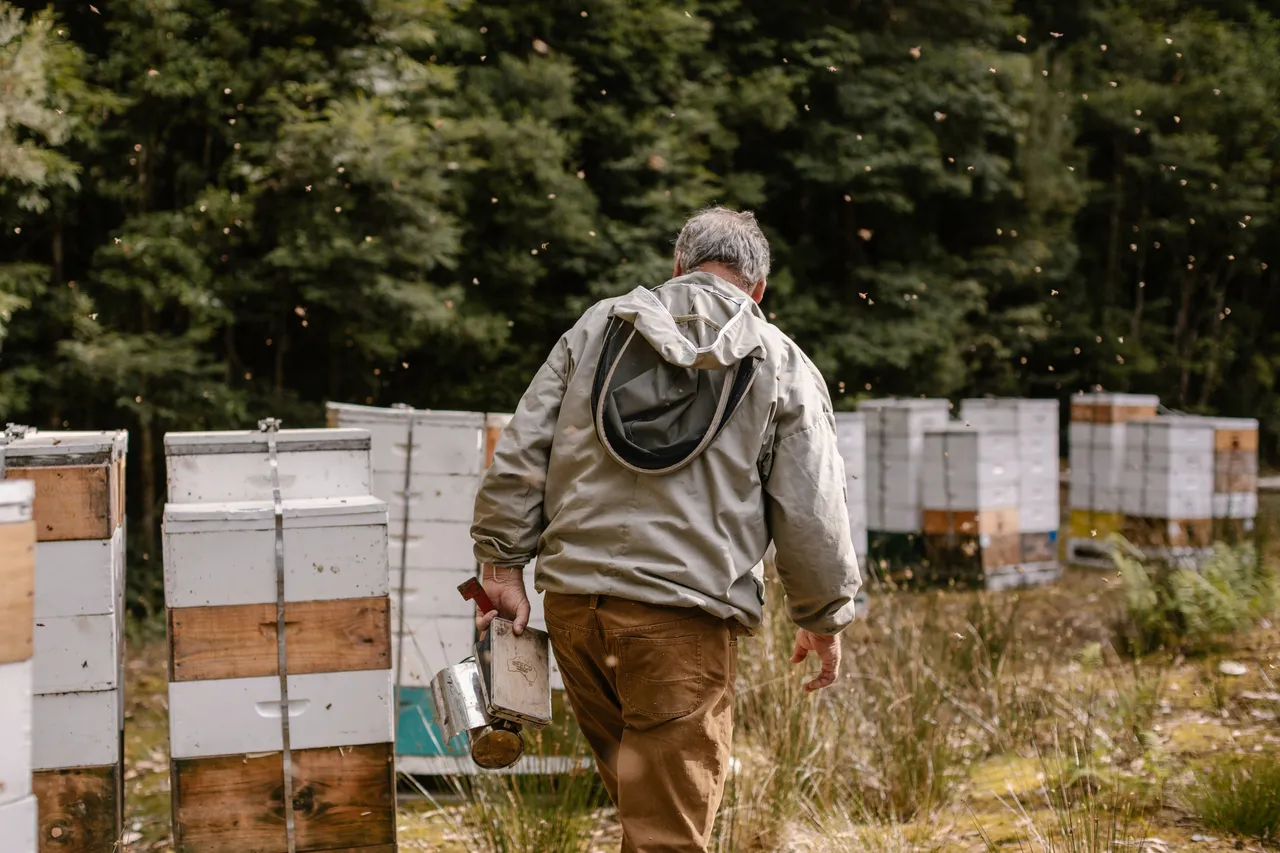 Beekeeping