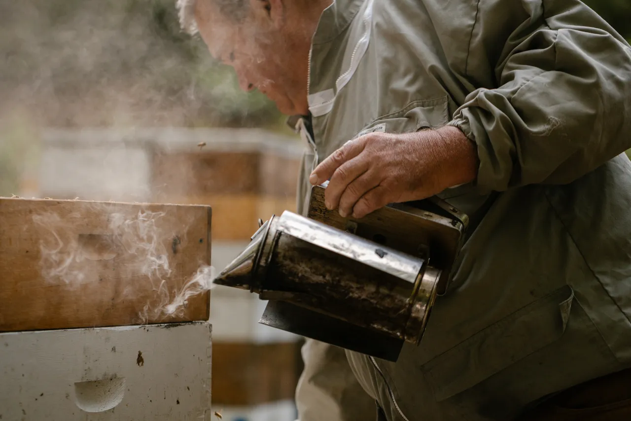 Beekeeping
