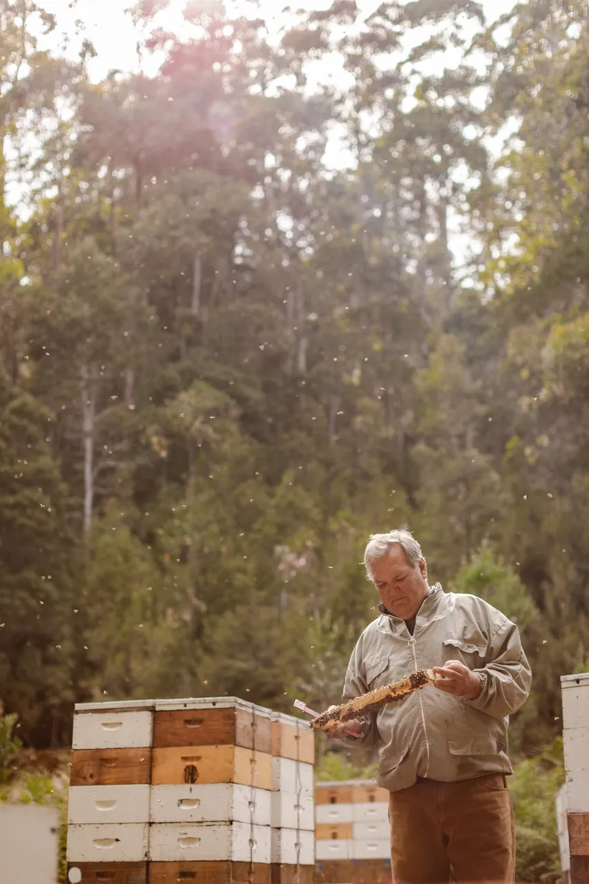 Beekeeping