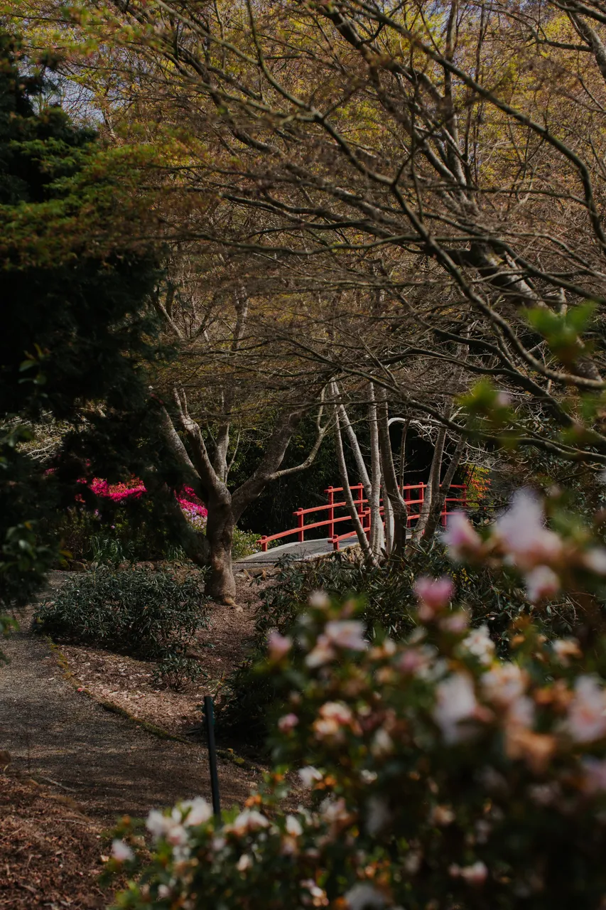 Emu Valley Rhododendron Garden
