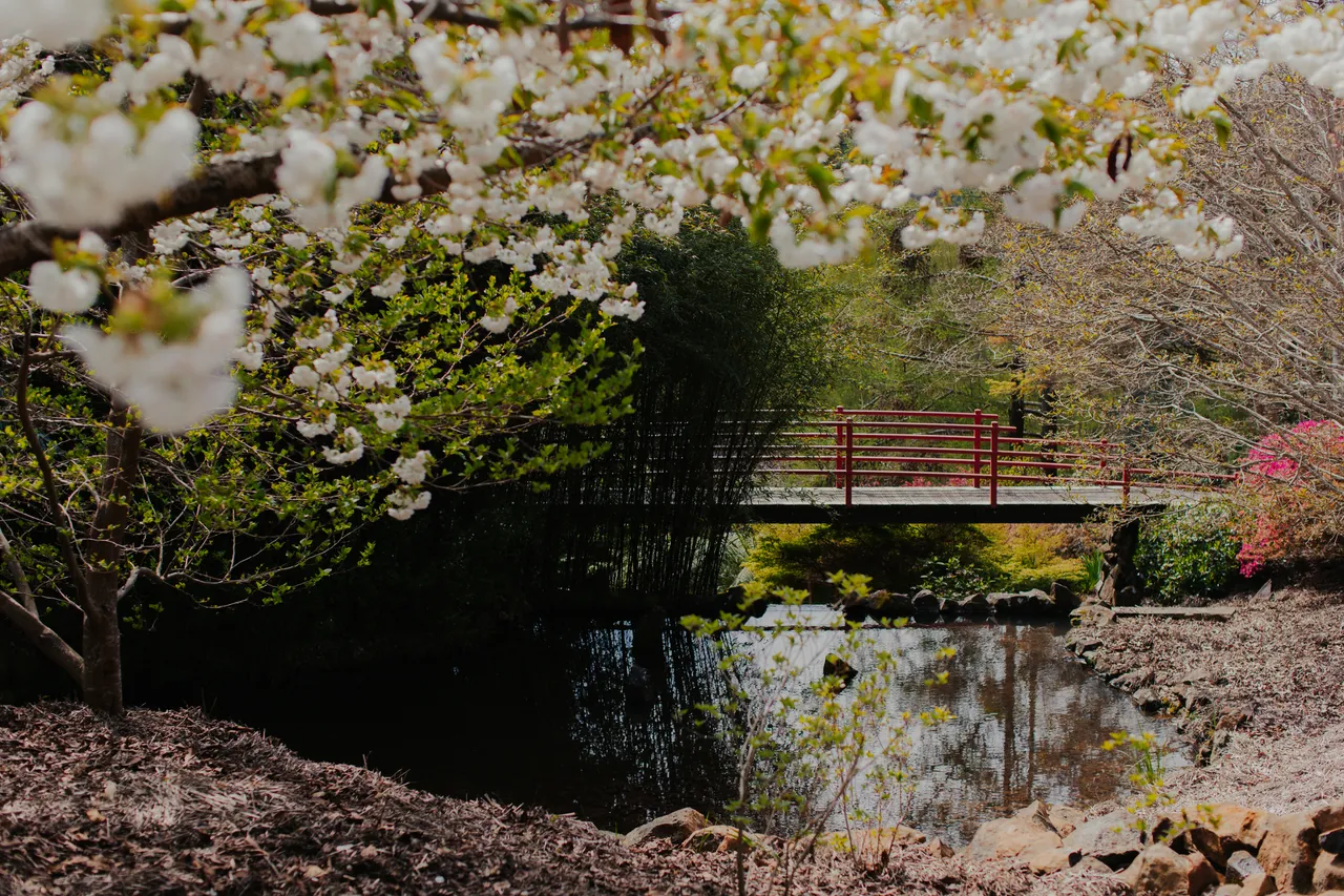 Emu Valley Rhododendron Garden