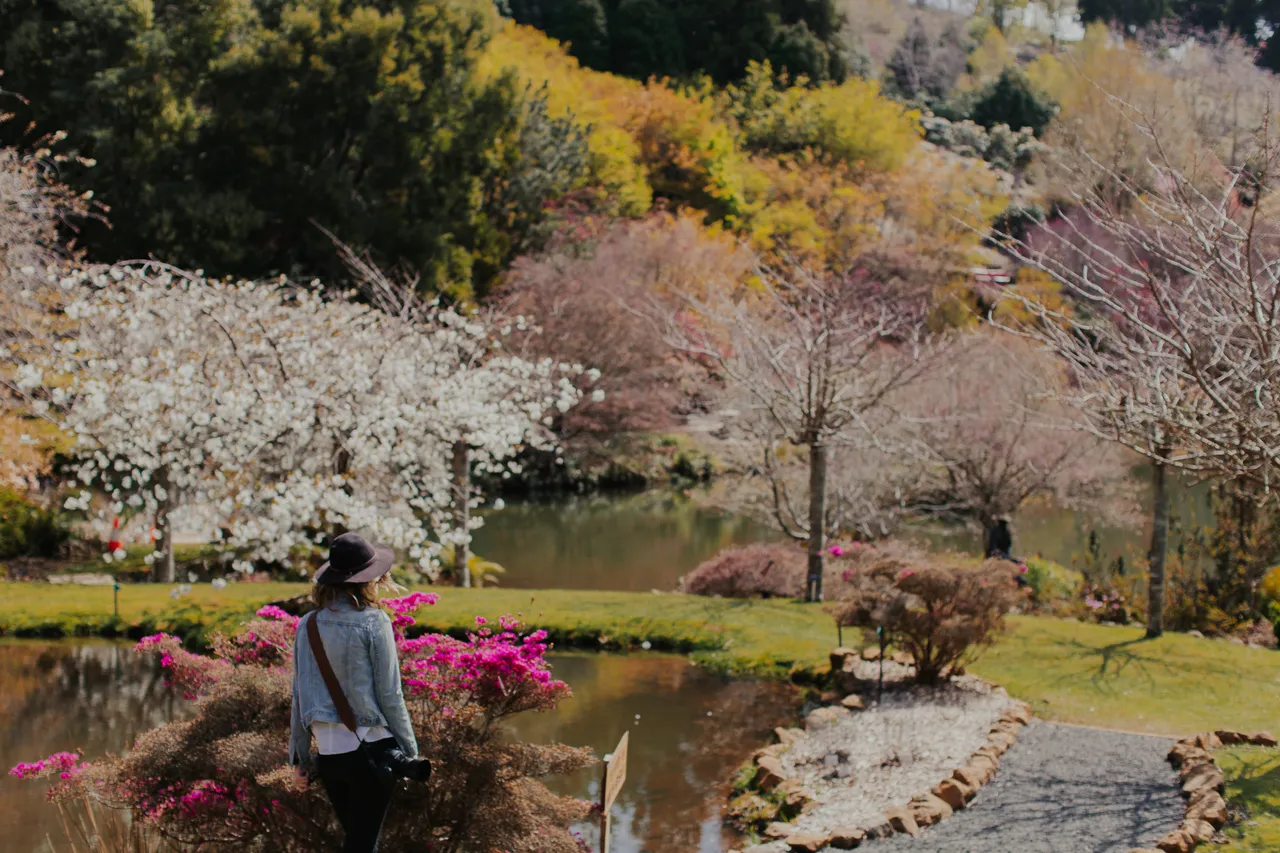 Emu Valley Rhododendron Garden