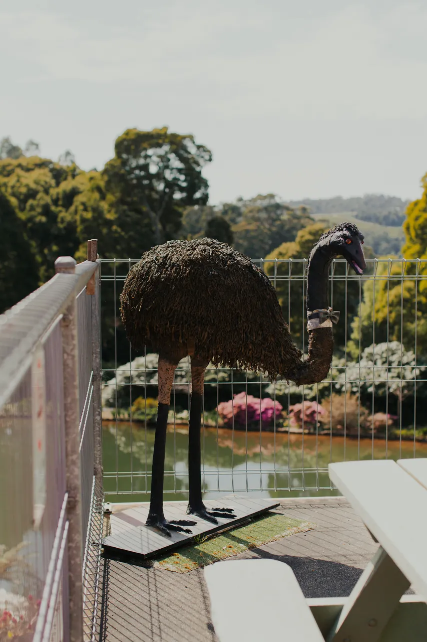 Emu Valley Rhododendron Garden