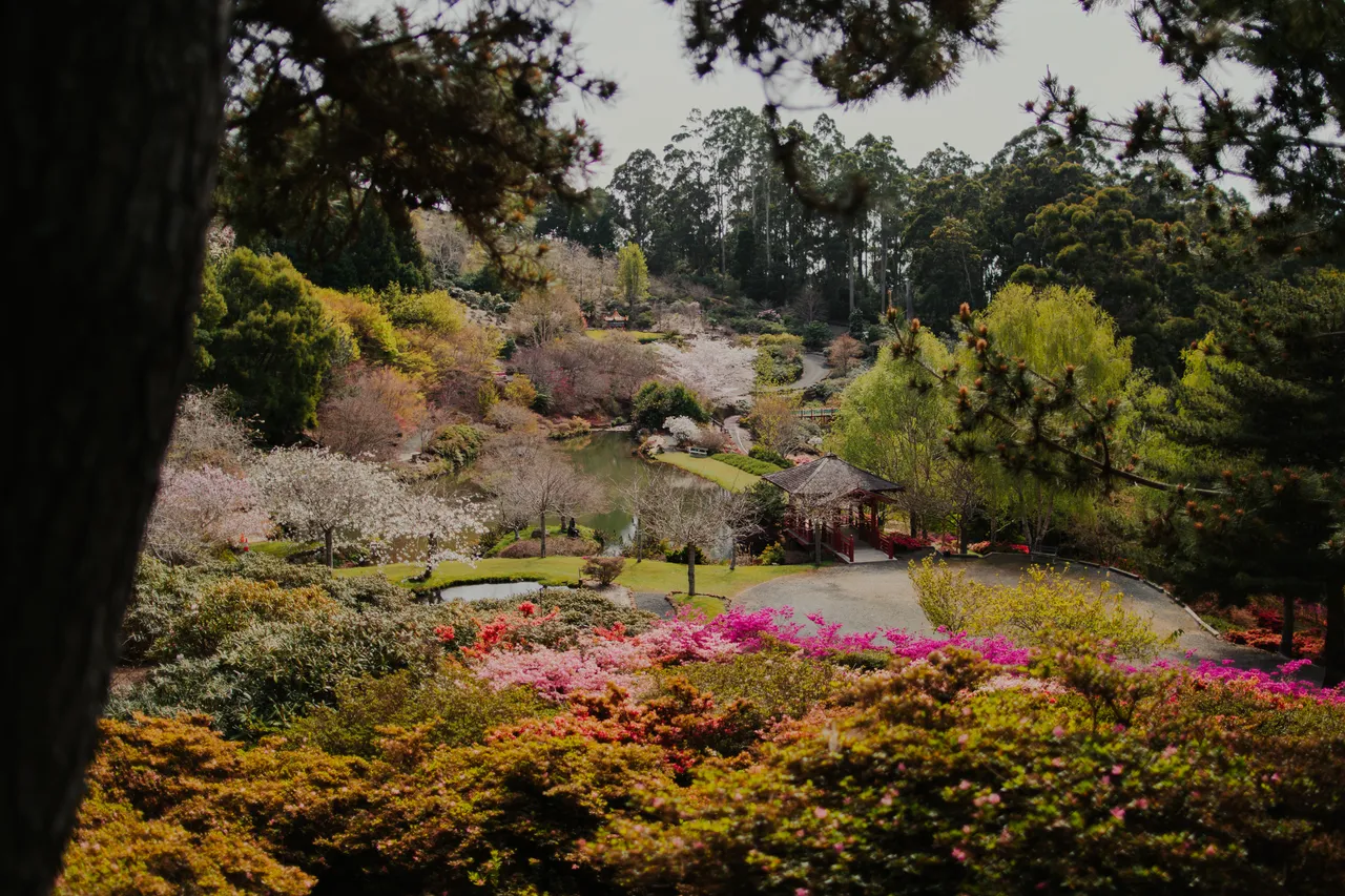 Emu Valley Rhododendron Garden