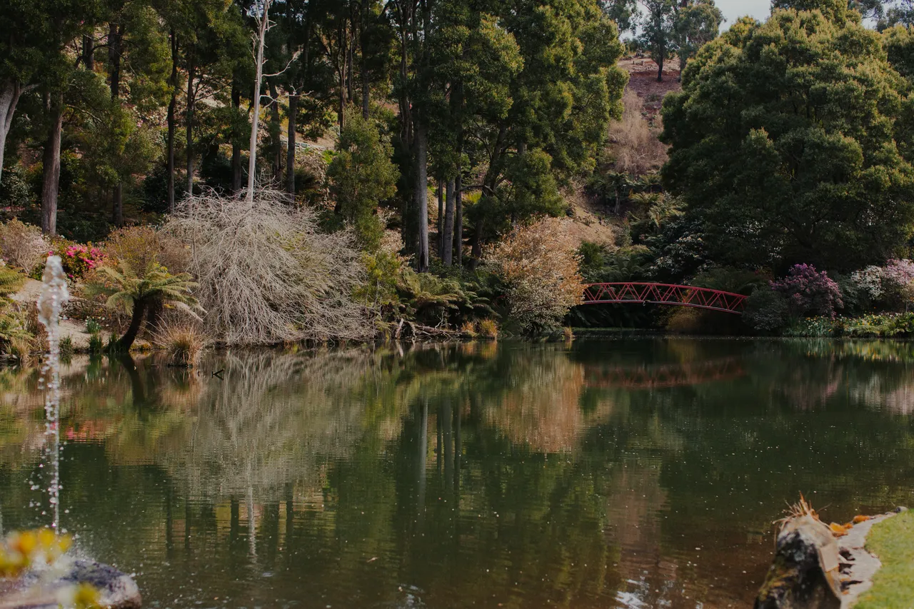Emu Valley Rhododendron Garden