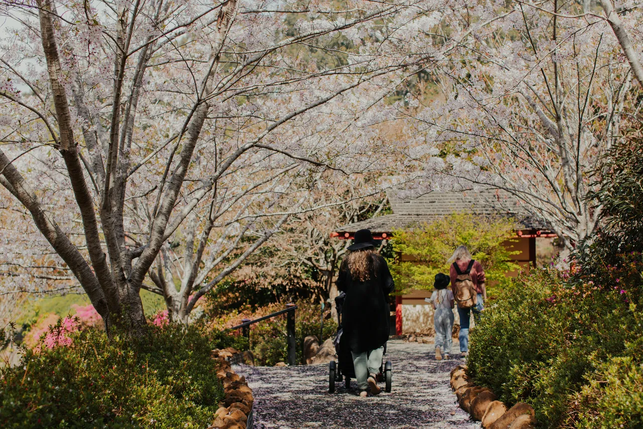 Emu Valley Rhododendron Garden