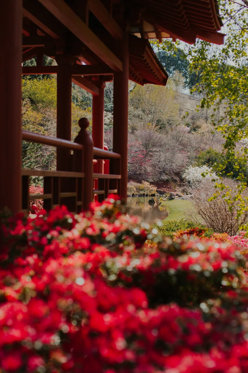 Emu Valley Rhododendron Garden