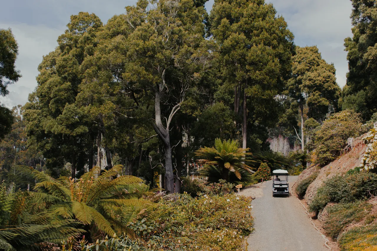 Emu Valley Rhododendron Garden