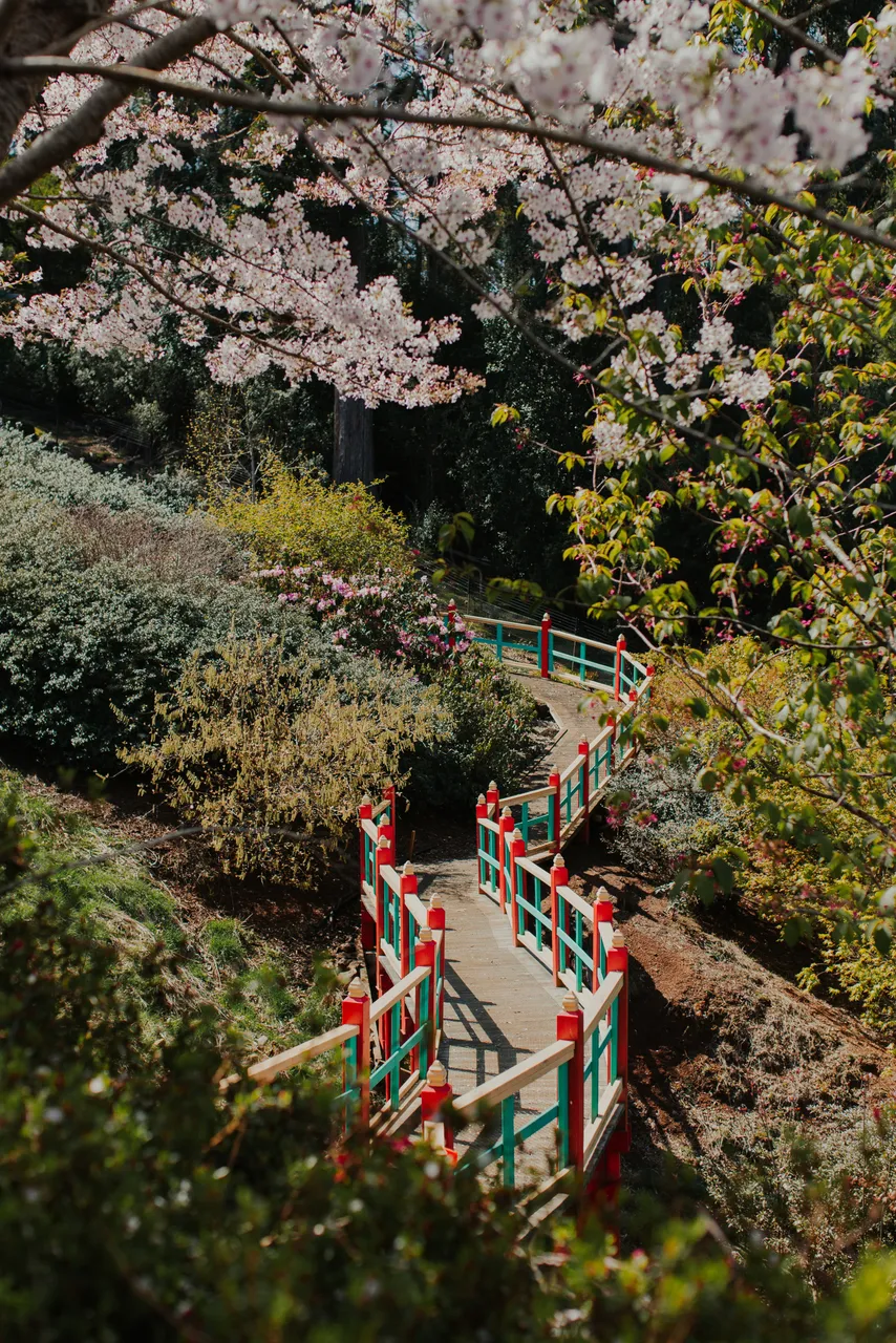 Emu Valley Rhododendron Garden