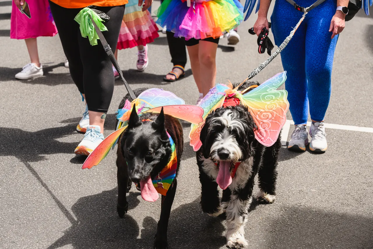 Tas Pride Parade