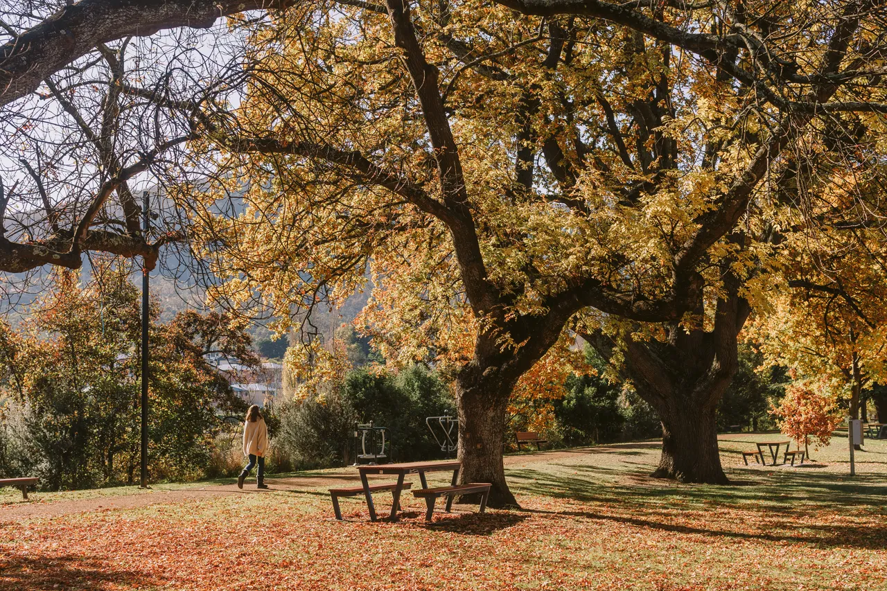 Derwent Valley in Autumn