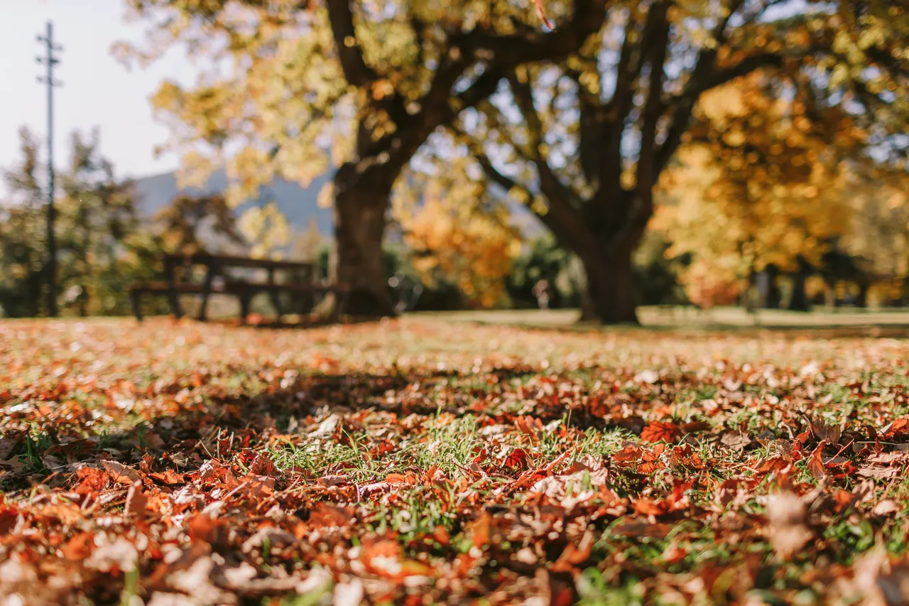 Derwent Valley in Autumn