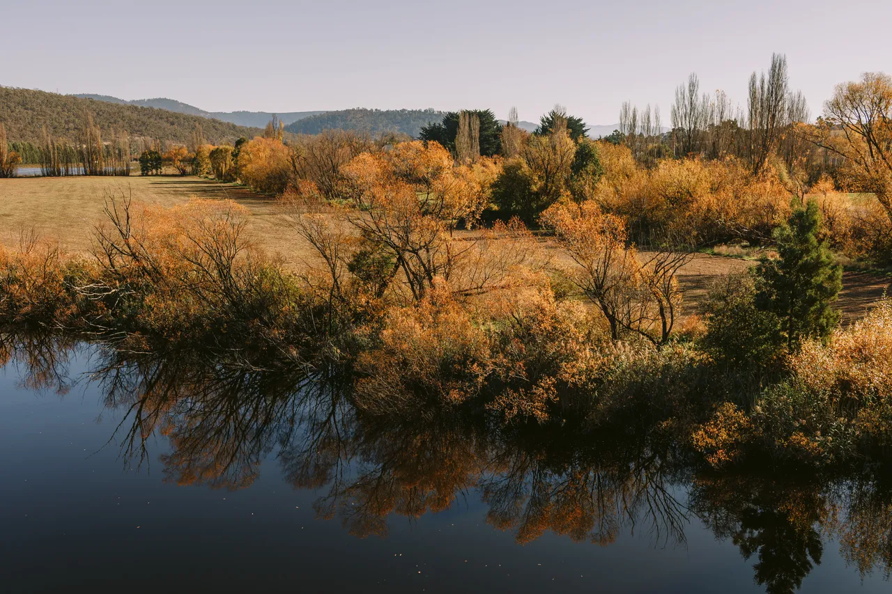 Derwent River in Autumn