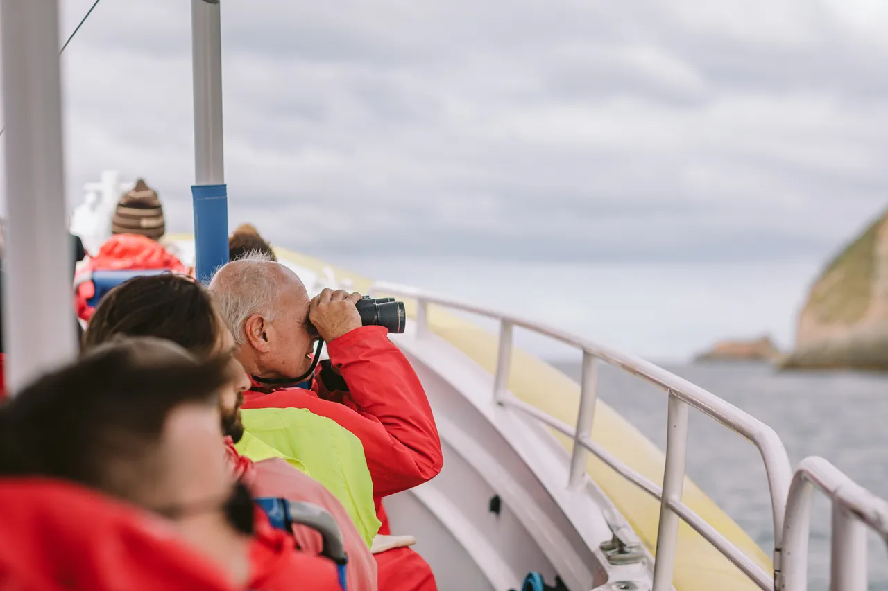 Sightseeing on the Pennicott Wilderness Journeys Cruise