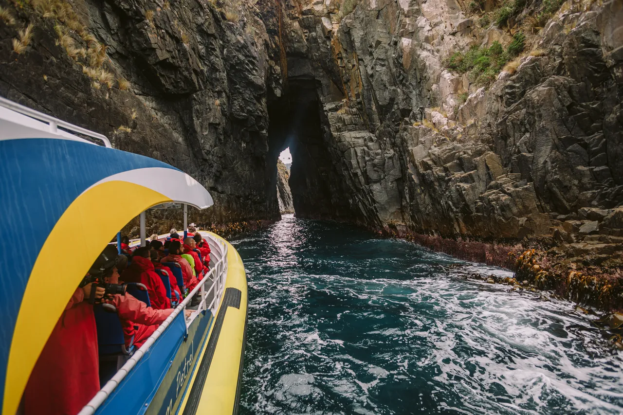 Sea Cave on Pennicott Wilderness Journeys Cruise