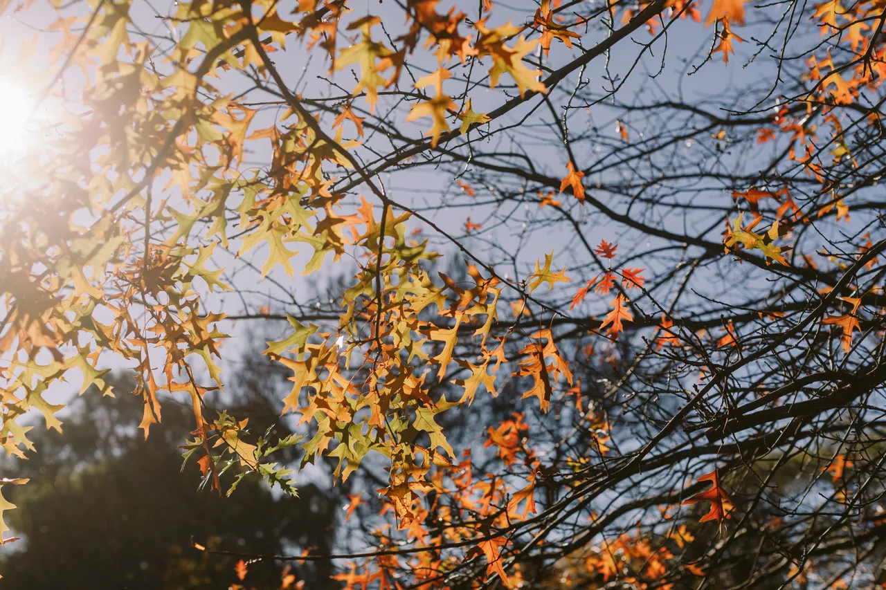 Derwent Valley in Autumn