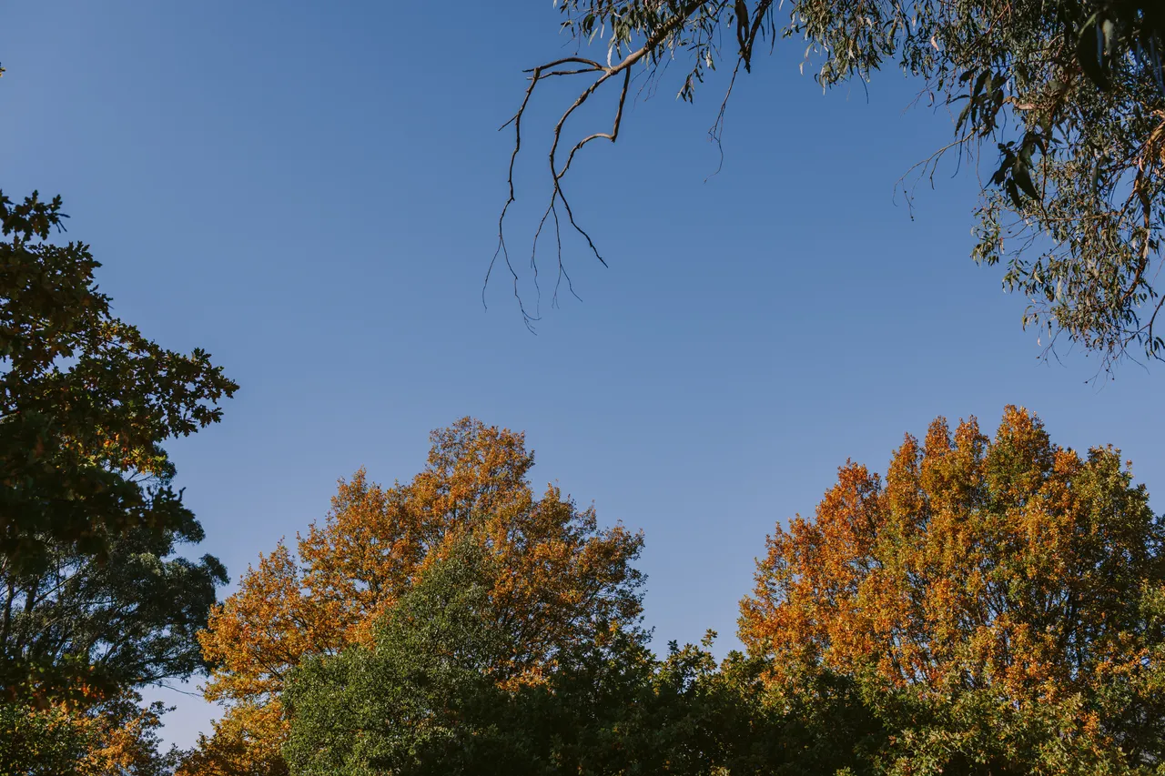 Derwent Valley in Autumn