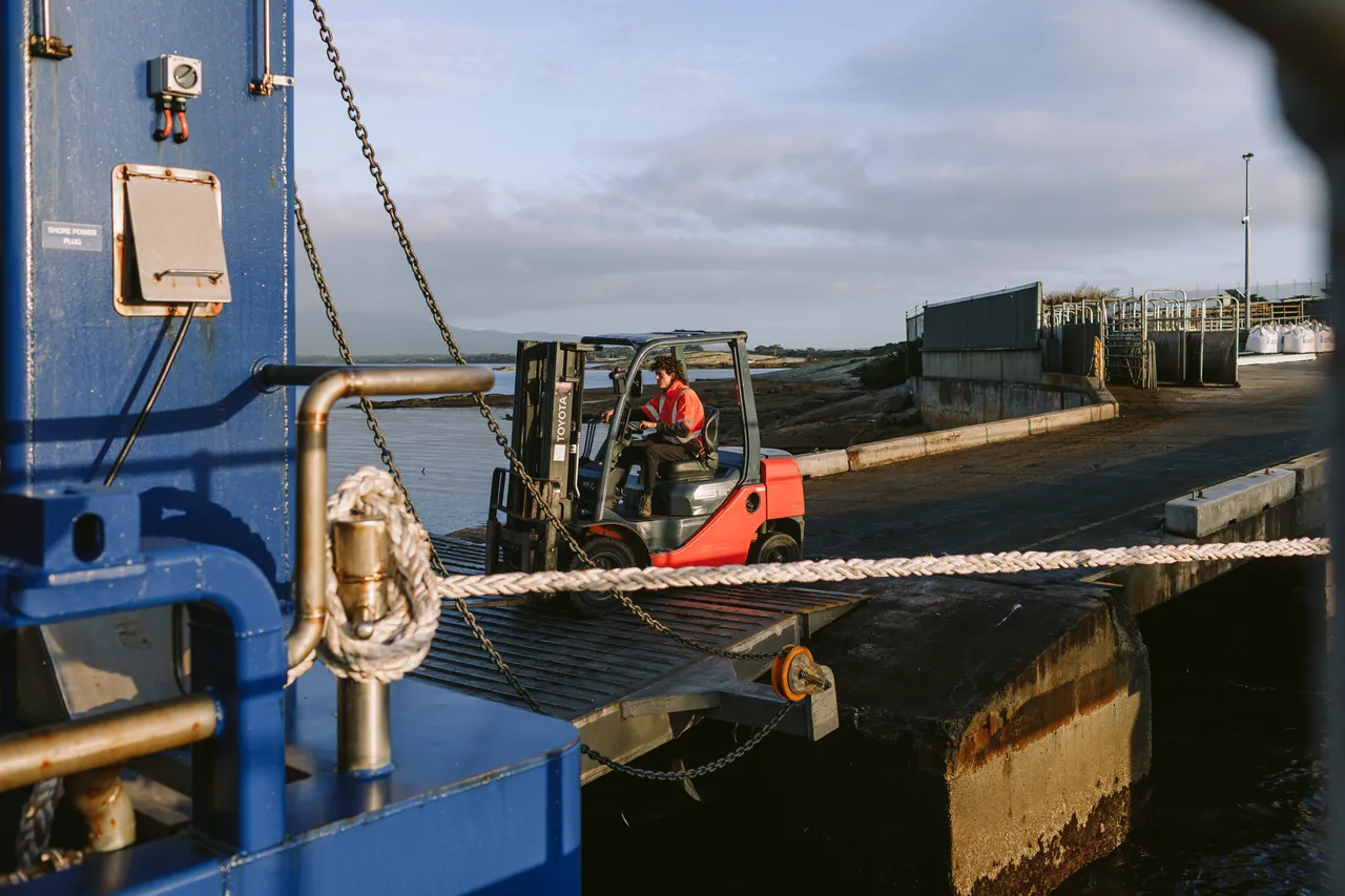 Person on Forklift