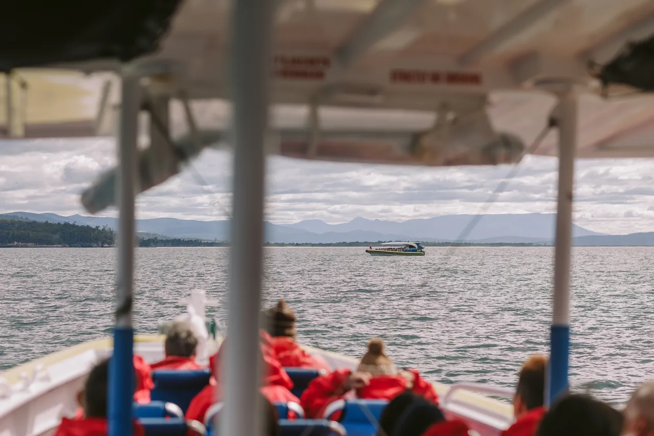 Views on the Pennicott Wilderness Journeys Boat