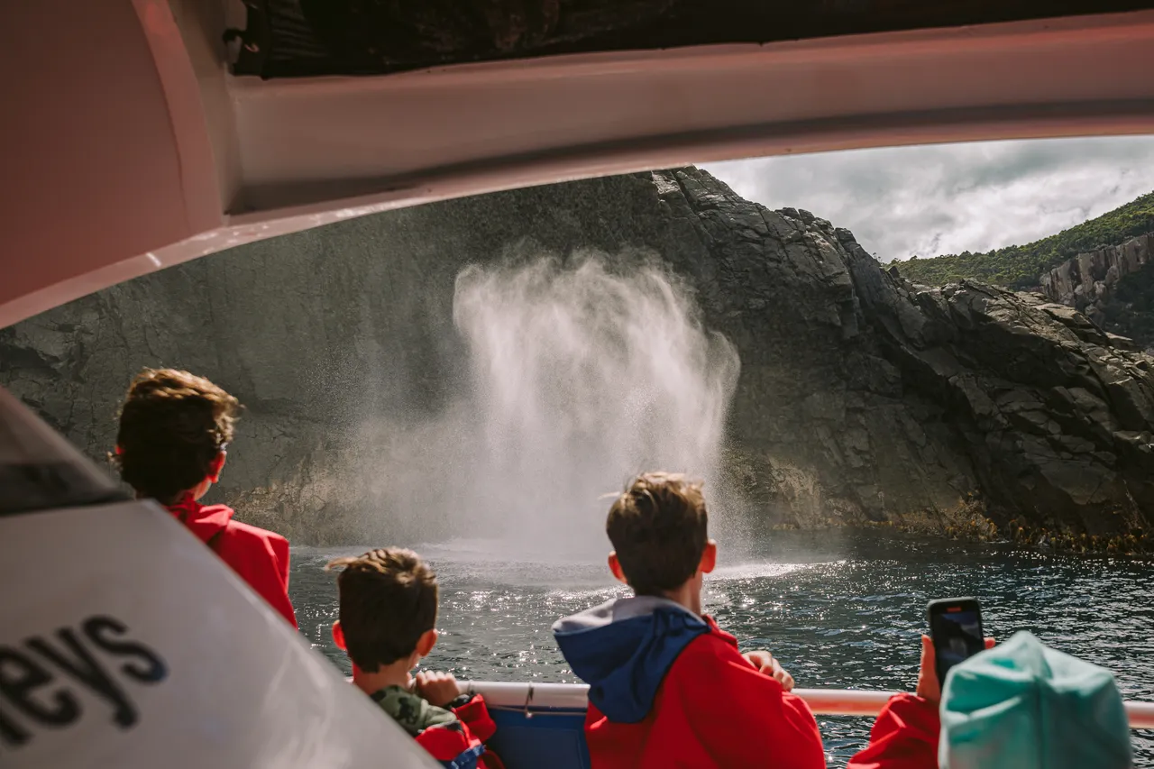 Sea Mist on the Pennicott Wilderness Journeys Cruise