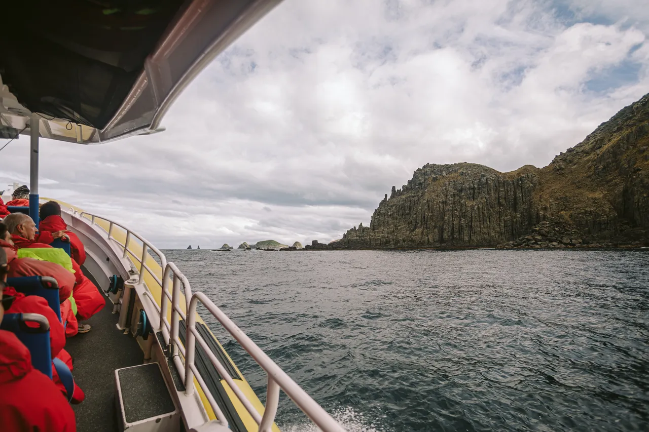 Sea Cliff Views on Pennicott Wilderness Journeys Cruise