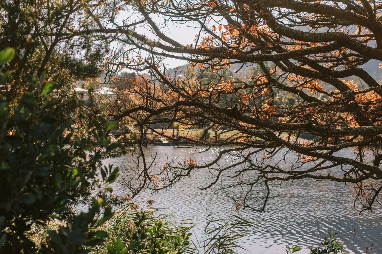 Derwent Valley in Autumn
