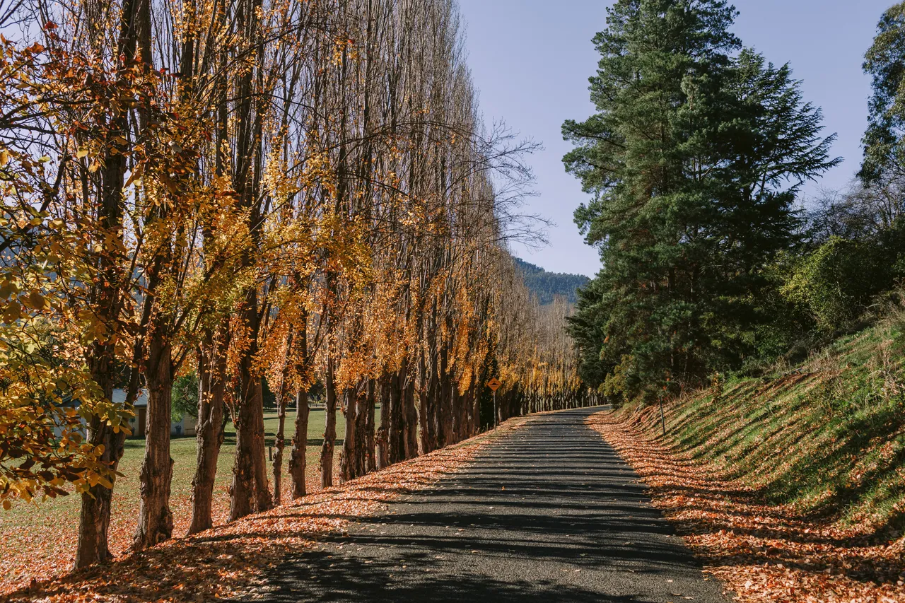 Derwent Valley in Autumn