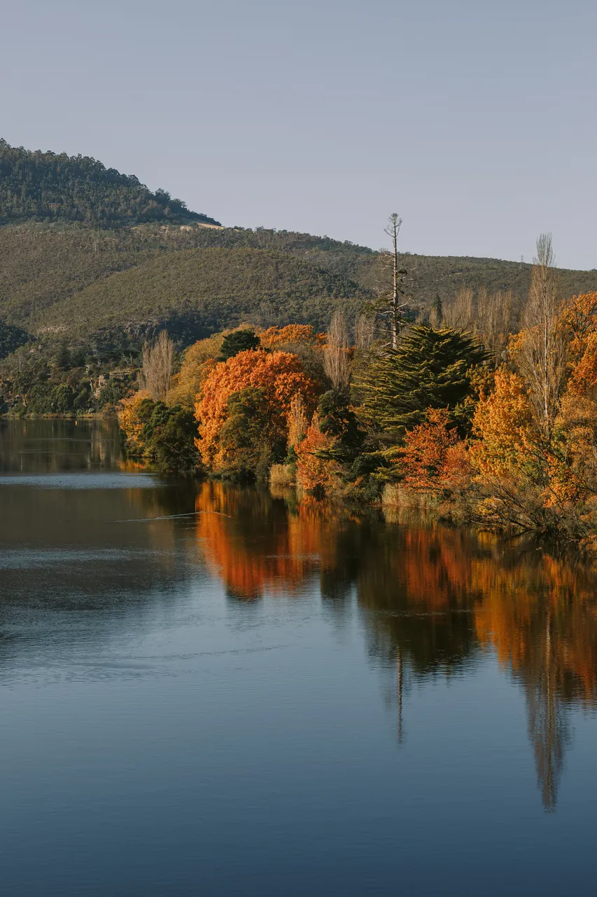 Derwent River in Autumn