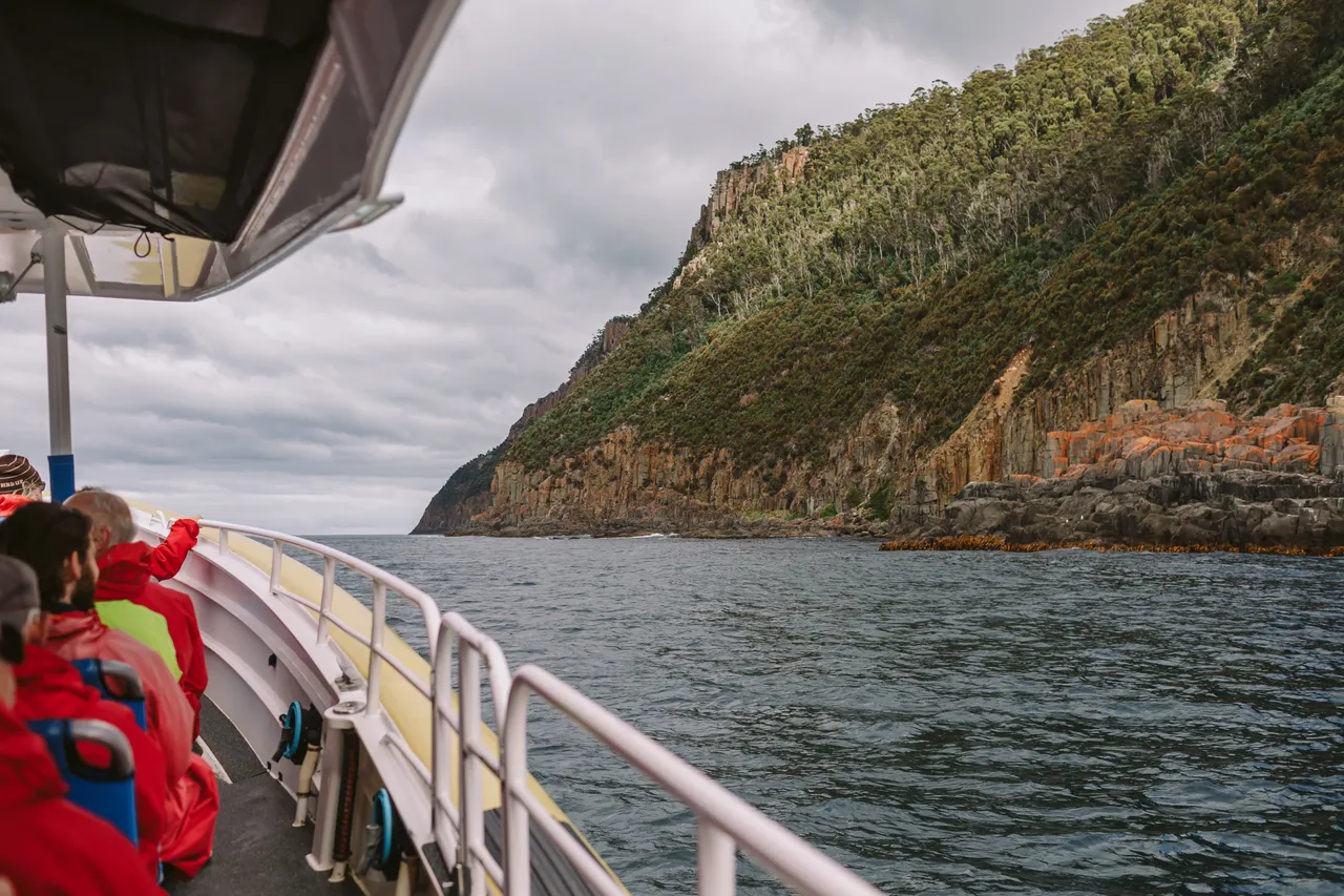 Sea Cliff Views on Pennicott Wilderness Journeys Cruise