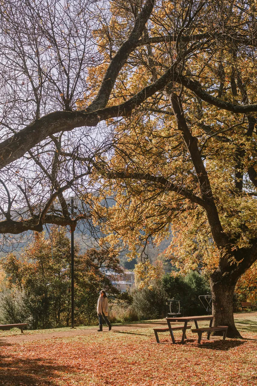 Derwent Valley in Autumn