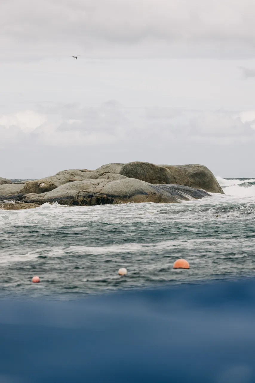 Bicheno Coast