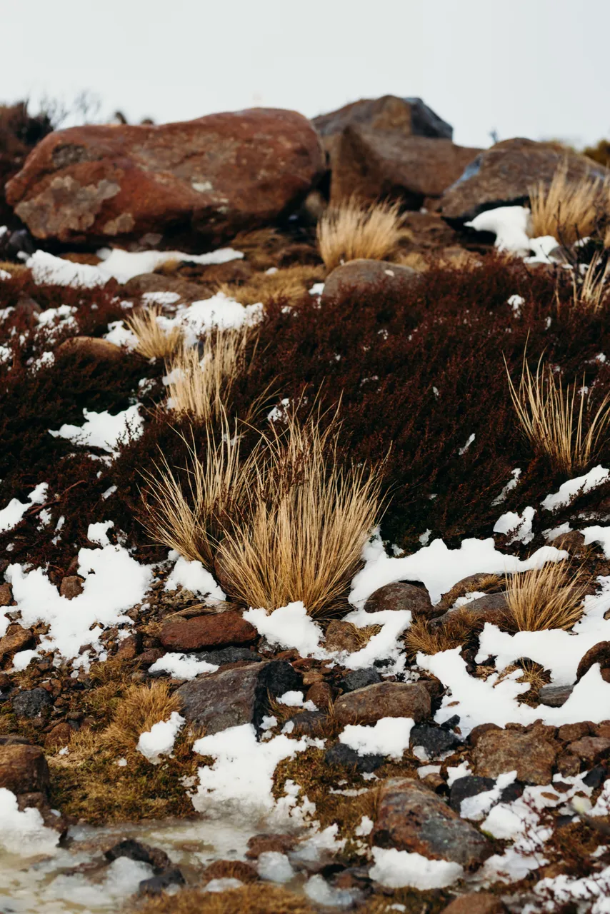 People in snow on kunanyi / Mount Wellington