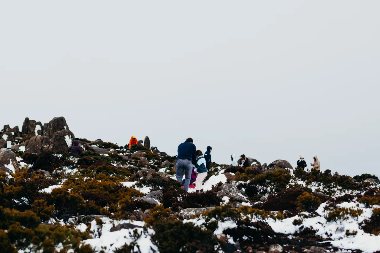 People in snow on kunanyi / Mount Wellington